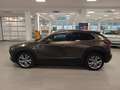 Mazda CX-30 G122 Comfort+ *BOSE*HUD*Navi* Braun - thumbnail 3