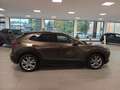 Mazda CX-30 G122 Comfort+ *BOSE*HUD*Navi* Braun - thumbnail 6