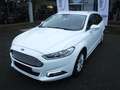 Ford Mondeo Wit - thumbnail 1