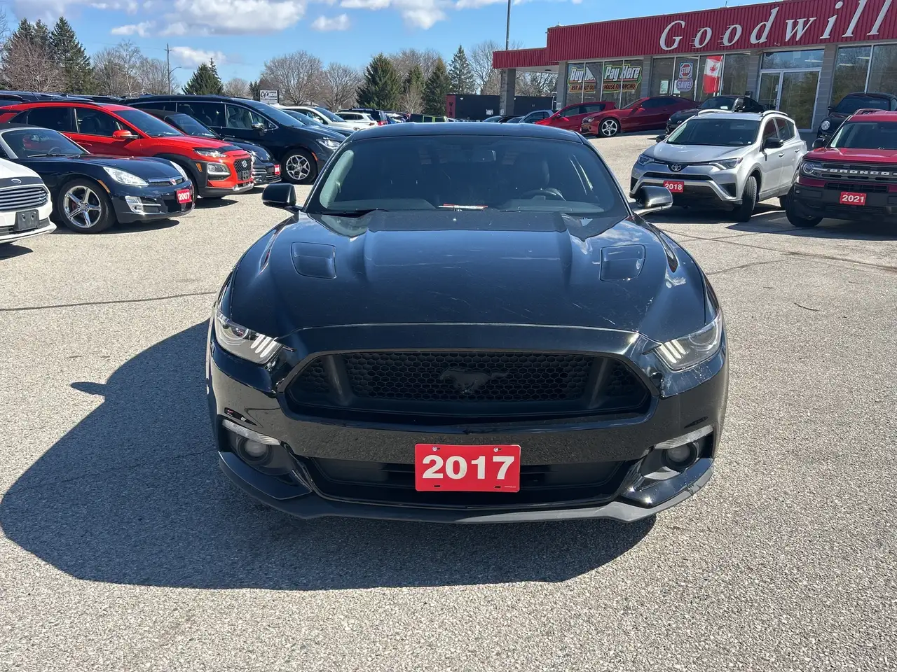 Ford Mustang снимка Ford Mustang