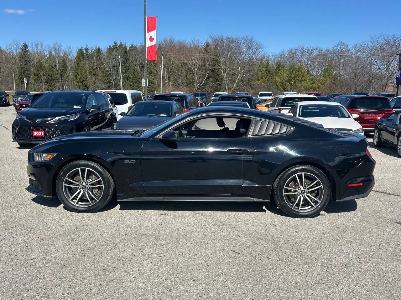 Ford Mustang снимка Ford Mustang