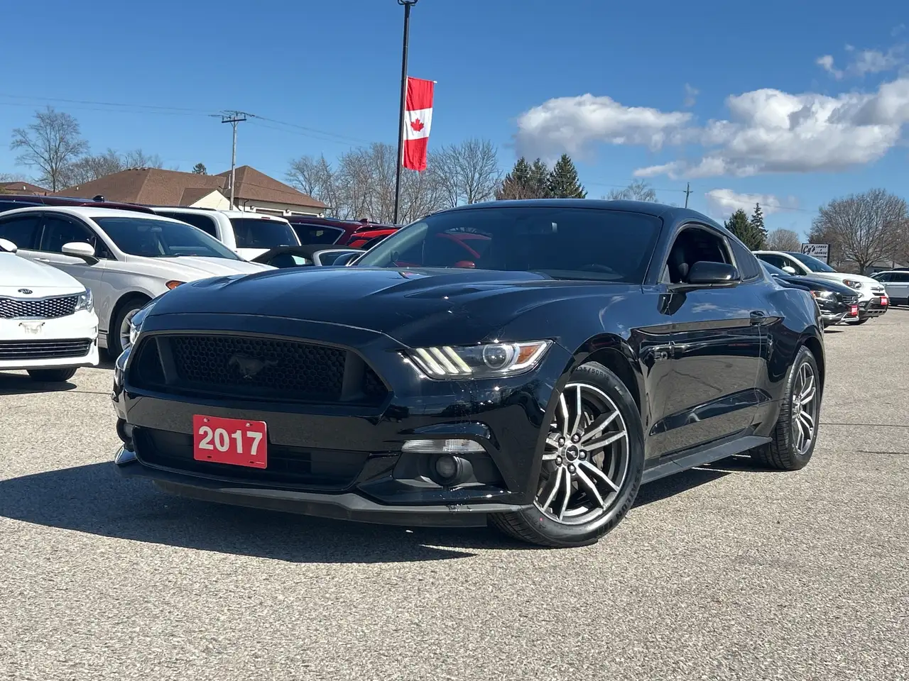 Ford Mustang снимка Ford Mustang