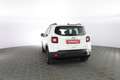 Jeep Renegade 1.0 T3 Business Bianco - thumbnail 5