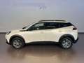 Peugeot 2008 II Style Weiß - thumbnail 3