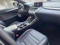 Lexus NX 300 300h F Sport Panorámico 4WD Schwarz - thumbnail 14