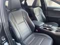 Lexus NX 300 300h F Sport Panorámico 4WD Schwarz - thumbnail 15