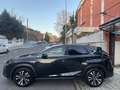 Lexus NX 300 300h F Sport Panorámico 4WD Schwarz - thumbnail 7