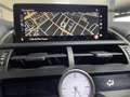 Lexus NX 300 300h F Sport Panorámico 4WD Schwarz - thumbnail 17
