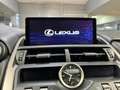 Lexus NX 300 300h F Sport Panorámico 4WD Schwarz - thumbnail 16