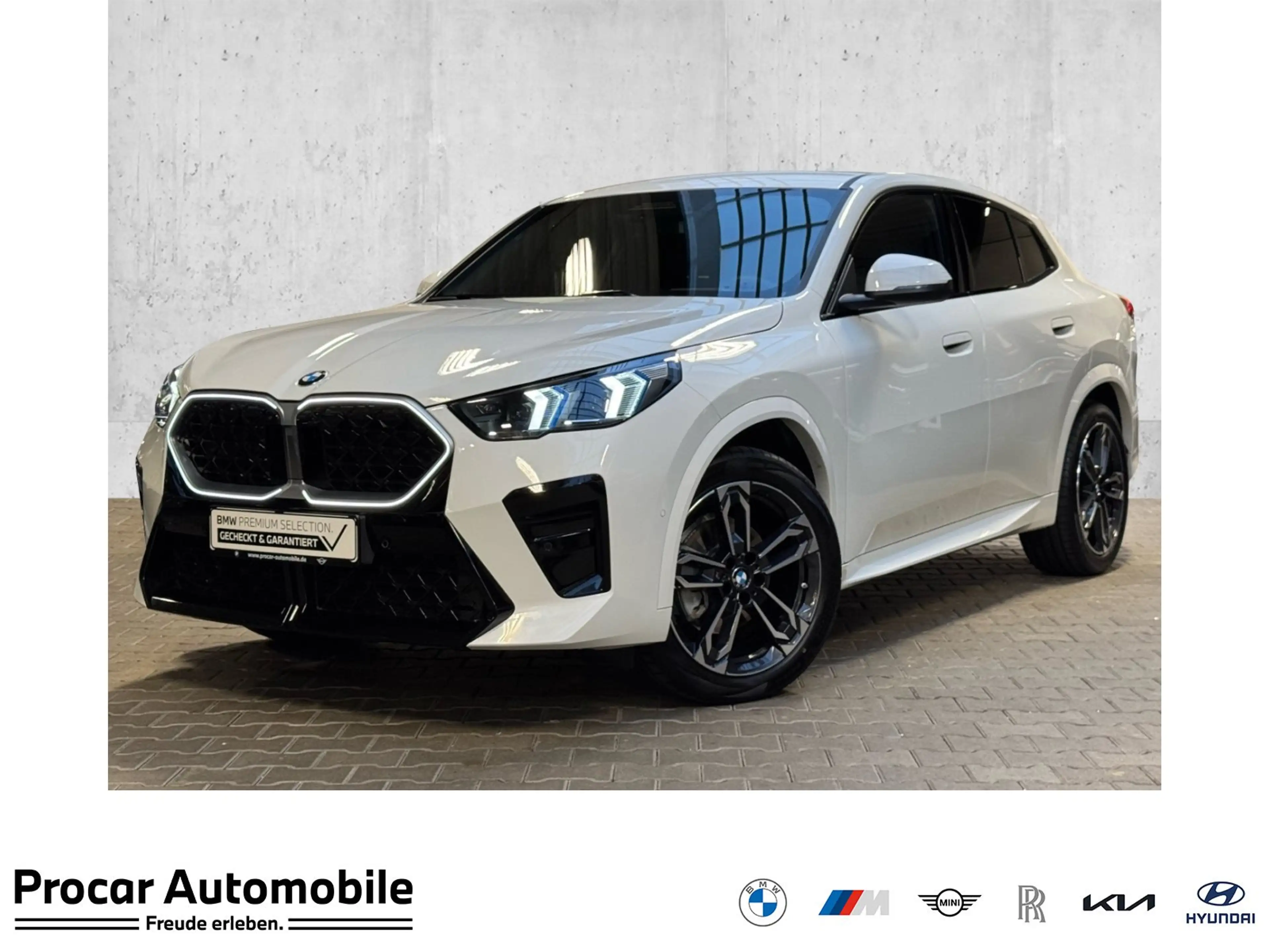 BMW X2 sDrive20d M Sport DA Prof 360° HuD H/K Memory