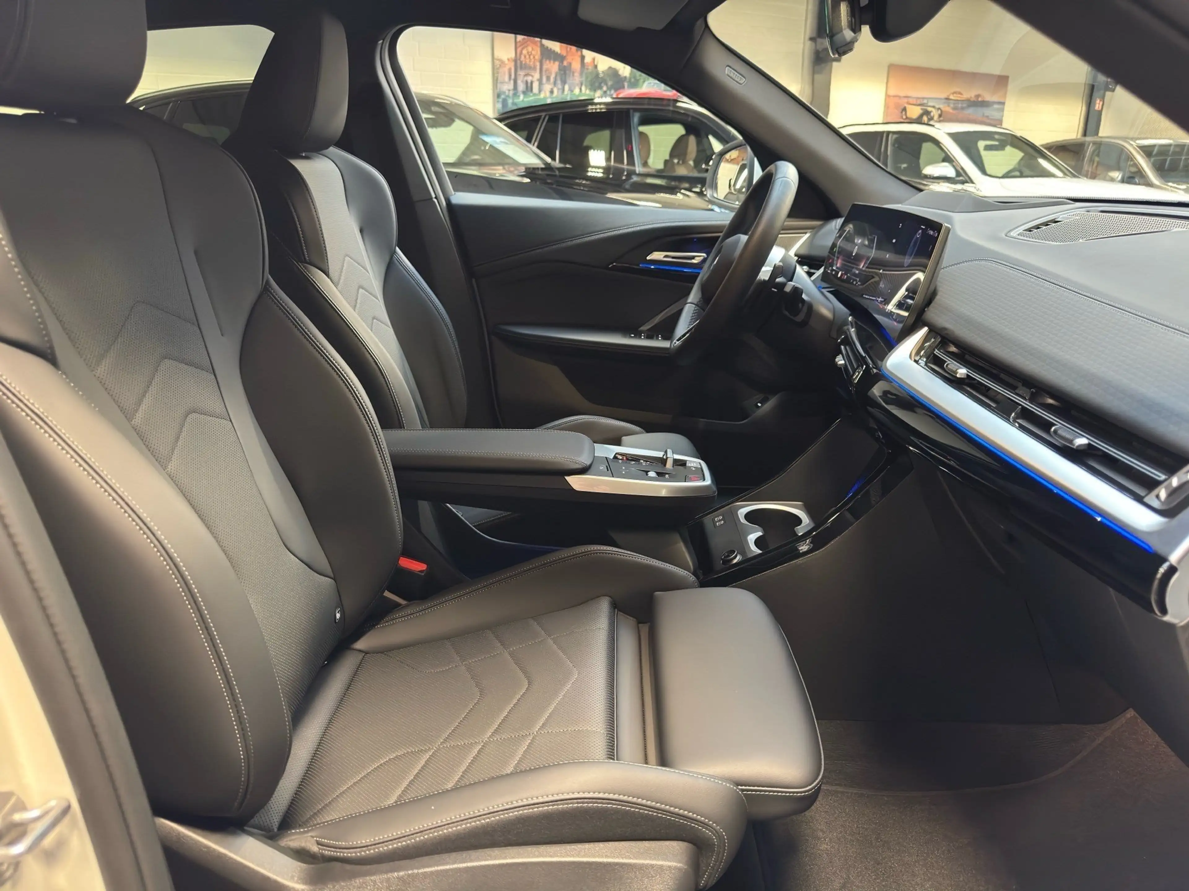 BMW X2 sDrive20d M Sport DA Prof 360° HuD H/K Memory — photo 9