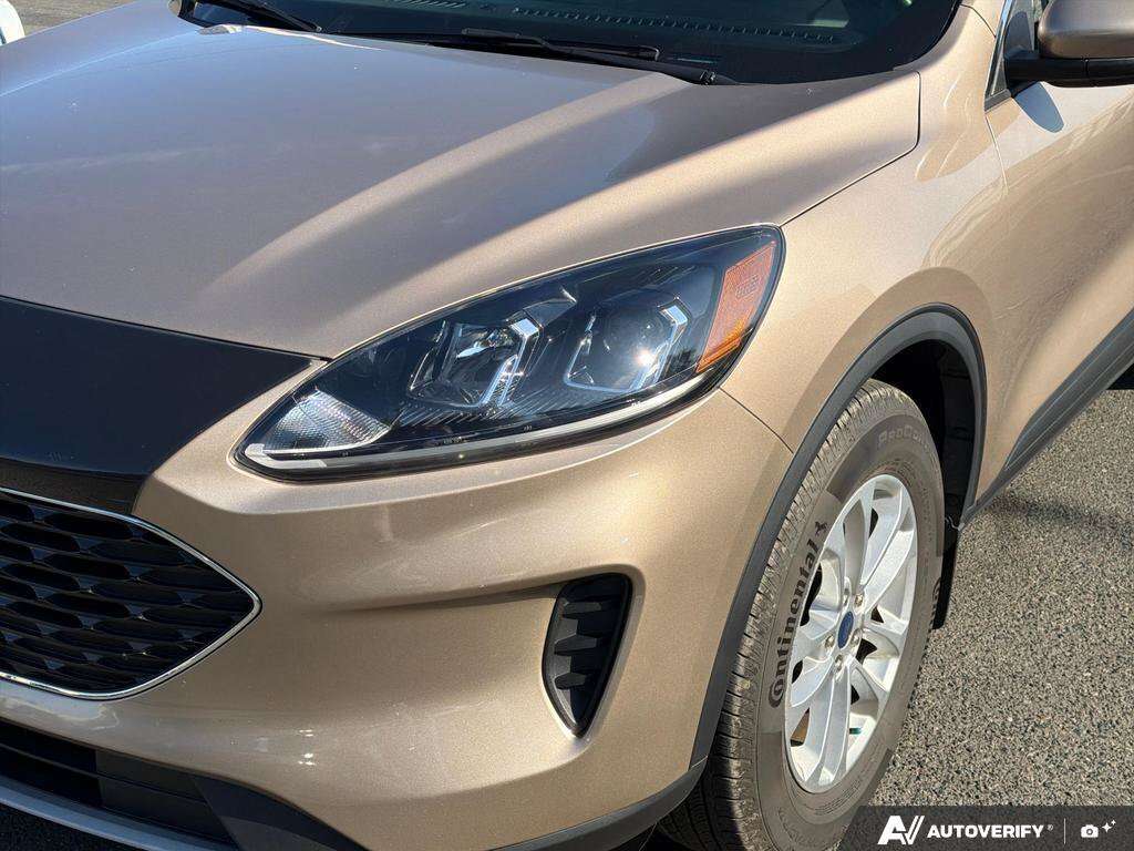 used 2021 Ford Escape car, priced at $19,998