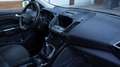 Ford Kuga Kuga 2.0 TDCi 4x4 Titanium Argento - thumbnail 5