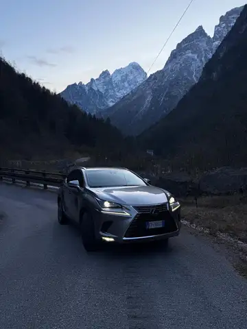 Lexus NX 300h