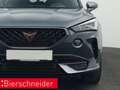 CUPRA Formentor 2.0 TSI DSG 4Dr. VZ NAVI AHK KAMERA LED Grau - thumbnail 20