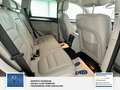 Volkswagen Touareg V6 TDI BMT 2 Halter + Händler* Scheckheft* Sehr ge Gris - thumbnail 13