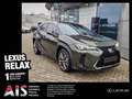 Lexus UX 300h F Sport Design ACC FLA SpurH LM Grün - thumbnail 1
