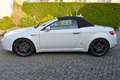 Alfa Romeo Spider Spider 1.8 TBi 16V Blanco - thumbnail 18