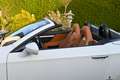 Alfa Romeo Spider Spider 1.8 TBi 16V Blanco - thumbnail 13