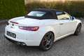 Alfa Romeo Spider Spider 1.8 TBi 16V Blanco - thumbnail 14