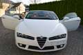 Alfa Romeo Spider Spider 1.8 TBi 16V Blanco - thumbnail 9