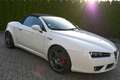 Alfa Romeo Spider Spider 1.8 TBi 16V Blanco - thumbnail 15