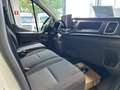 Ford E-Transit 2T Koelwagen Blanc - thumbnail 6