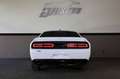Dodge Challenger 5.7 R/T/SHZ/TEMP/MFL/BTH/AMBIE/R20 Weiß - thumbnail 5