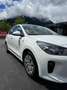 Kia Rio Rio 1,2 MPI Titan Limited Titan Limited Weiß - thumbnail 9