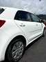 Kia Rio Rio 1,2 MPI Titan Limited Titan Limited Weiß - thumbnail 10