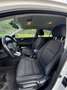 Kia Rio Rio 1,2 MPI Titan Limited Titan Limited Weiß - thumbnail 5