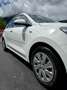 Kia Rio Rio 1,2 MPI Titan Limited Titan Limited Weiß - thumbnail 8