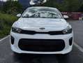 Kia Rio Rio 1,2 MPI Titan Limited Titan Limited Weiß - thumbnail 2