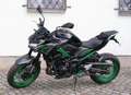 Kawasaki Z 900 70 KW Baujahr 2024 Gri - thumbnail 7