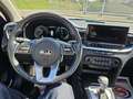 Kia Ceed SW / cee'd SW Sportswagon 1.6 GDI PHEV ExecutiveLine Blau - thumbnail 13