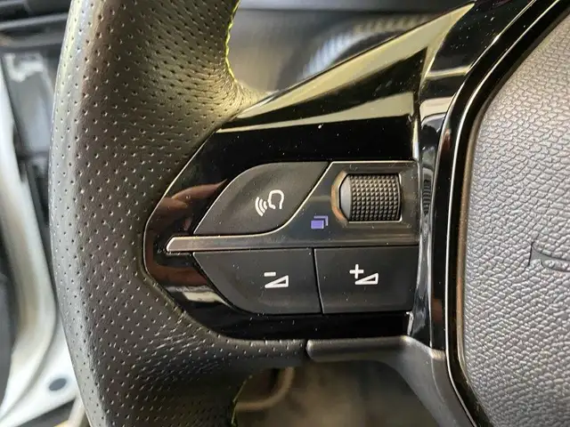 Peugeot 2008 view 12