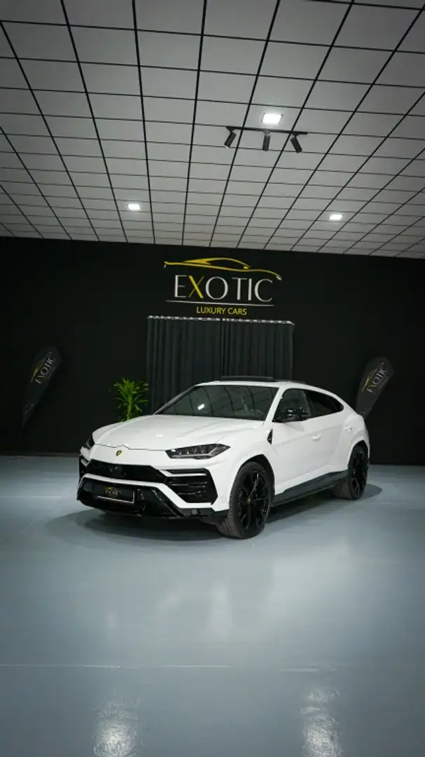 Lamborghini Urus 4.0 V8 Aut. Bianco - 2