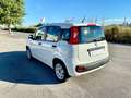 Fiat Panda 1.2 Easy 69cv ESEGUITI NUMEROSI LAVORI Weiß - thumbnail 4