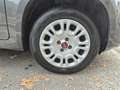 Fiat Panda Panda III 2016 1.2 Easy 69cv + GPL Grigio - thumbnail 19