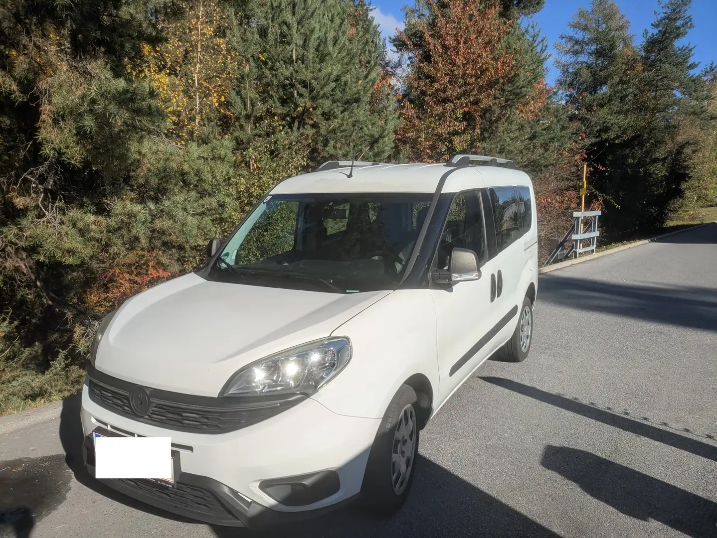 Fiat Doblo 263/AXG1B/NN7DN Weiß - 1