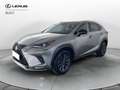 Lexus NX 300 NX I 2018 300h 2.5 Premium 4wd cvt - thumbnail 1