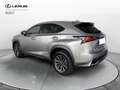 Lexus NX 300 NX I 2018 300h 2.5 Premium 4wd cvt - thumbnail 5