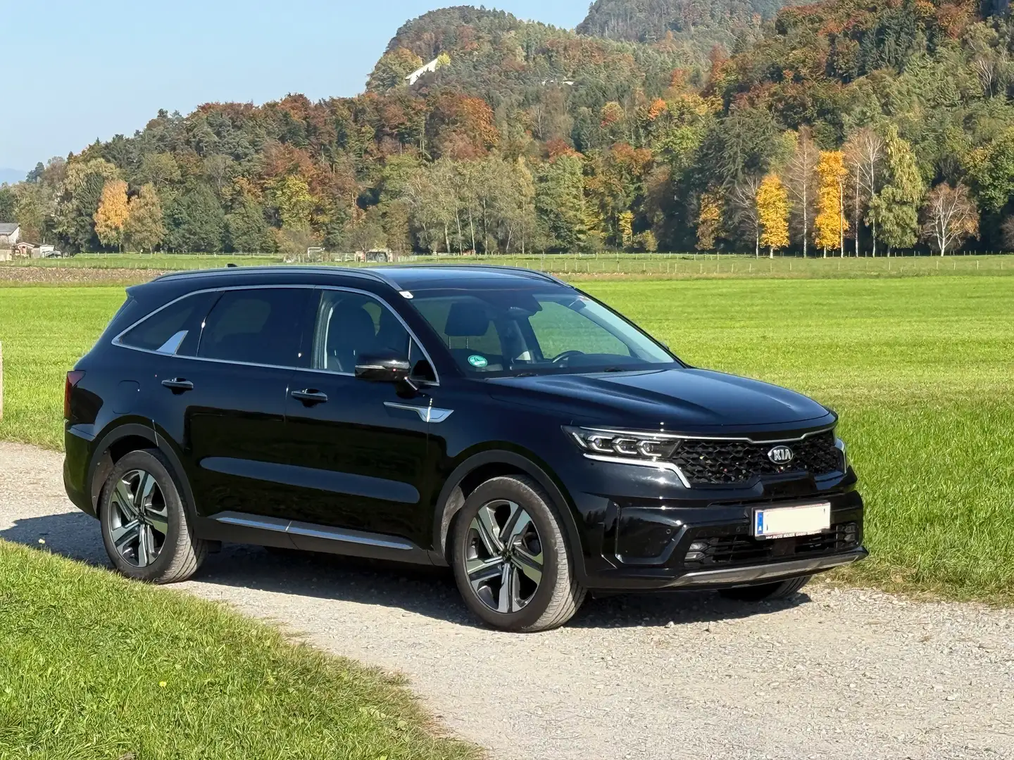Kia Sorento Sorento 1,6 T-GDI Hybrid GPF AWD Gold Aut. Gold Schwarz - 2