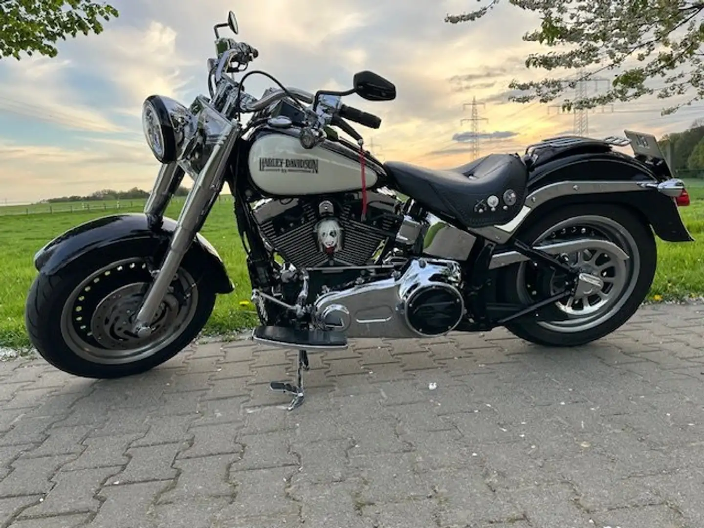 Harley-Davidson Fat Boy FLSTF 96B Twin Cam nur *6200 Km* Negro - 2