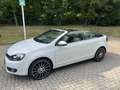Volkswagen Golf Cabriolet Golf Cabrio 1.2 TSI BlueMotion Technology Weiß - thumbnail 2