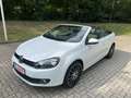 Volkswagen Golf Cabriolet Golf Cabrio 1.2 TSI BlueMotion Technology Weiß - thumbnail 6