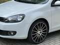 Volkswagen Golf Cabriolet Golf Cabrio 1.2 TSI BlueMotion Technology Weiß - thumbnail 4