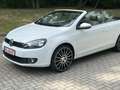 Volkswagen Golf Cabriolet Golf Cabrio 1.2 TSI BlueMotion Technology Weiß - thumbnail 3