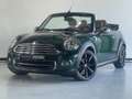 MINI Cooper Cabrio Mini 1.6 Chili / Leder / Zöld - thumbnail 15