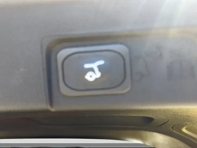 Ford Puma view 15